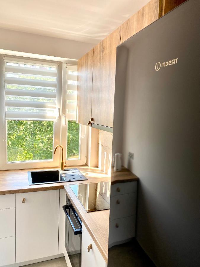 Apartament II Glamour Work&Relax, Obok Areny Gliwice, Fv Apartment Luaran gambar